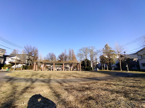 IMG_20250118_150042_1aa