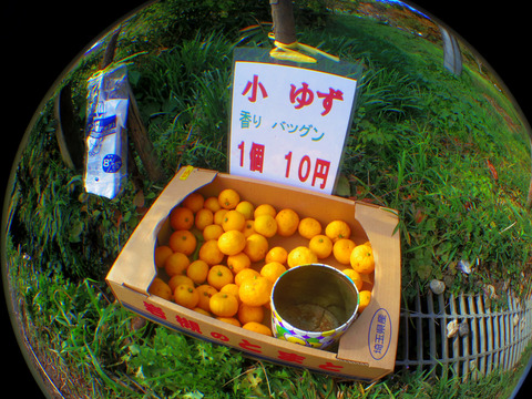 IMGP9940aa