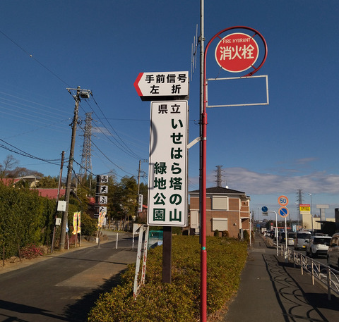 IMG_20250104_125635aa