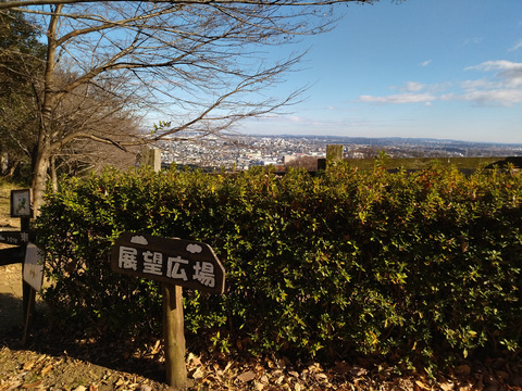 IMG_20250104_133446aa