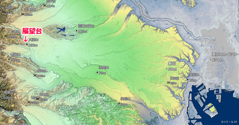 羽村草花20240229a