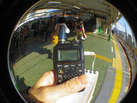 IMGP3867aa