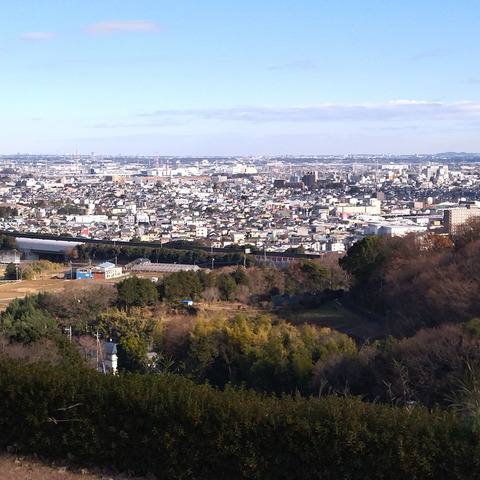 IMG_20250104_133549aa