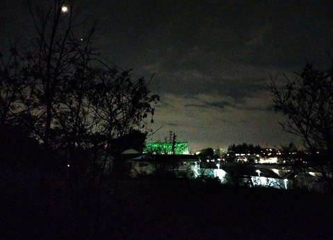 IMG_20250202_185017_1as