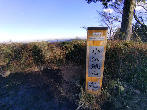 IMG_20250111_152345aa