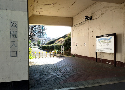 IMG_20250309_144436_1aa