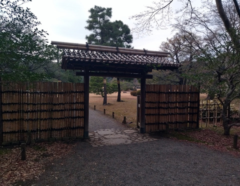 IMG_20250112_151914aa