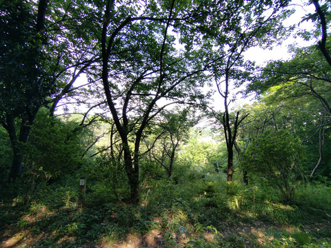 IMG_20230503_145653_1aa