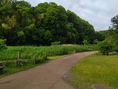 IMG_20240522_160950aa