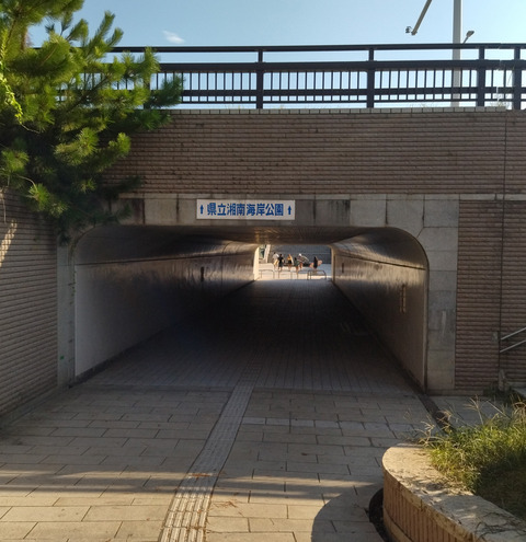 IMG_20250809_160450aa