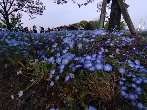 IMG_20250419_180623_1aa