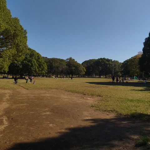 IMG_20241104_121245aa