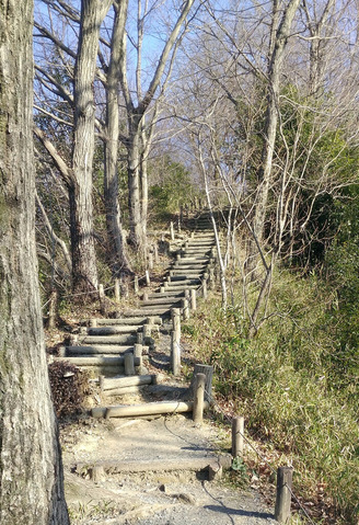 IMG_20210214_150054aa