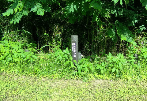 IMG_20240608_160028_1aa