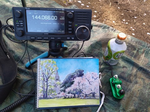 IMG_20250409_145152_1