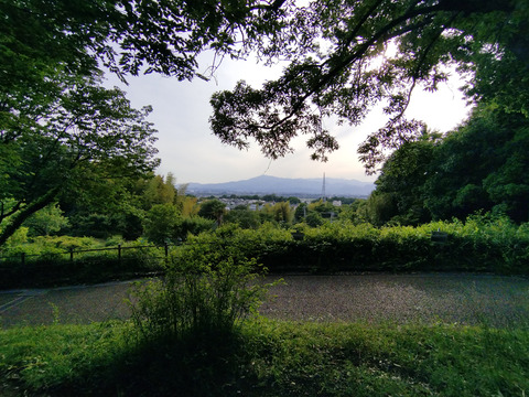 IMG_20240522_162102_1aa