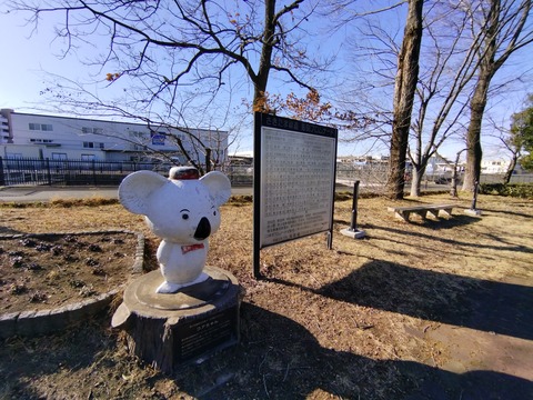 IMG_20250211_143448_1