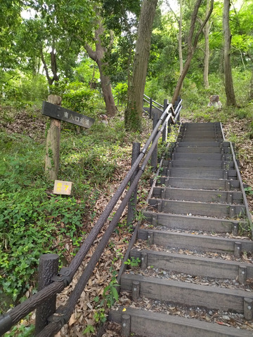 IMG_20240522_160742aa