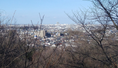 IMG_20210214_150449aa