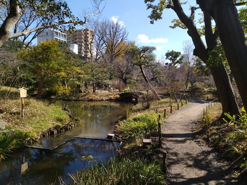 IMG_20250309_134722_1