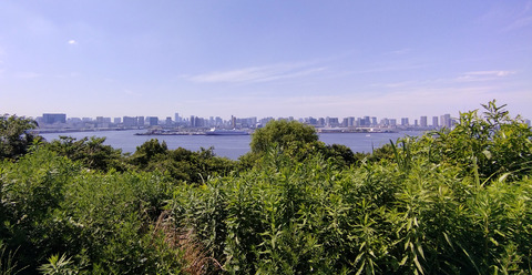 IMG_20250628_141602aa