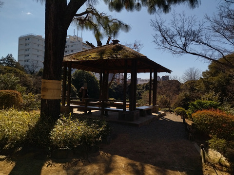 IMG_20250222_104632aa