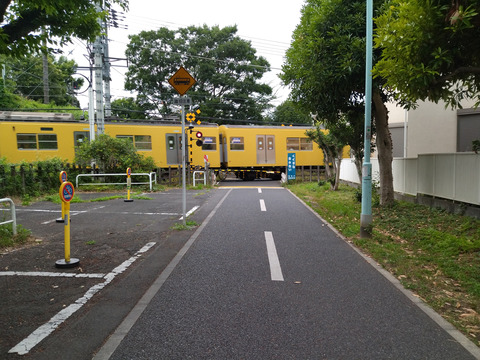 IMG_20220703_140148aa