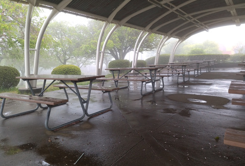 IMG_20250506_102045aa