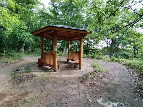 IMG_20240522_161944aa