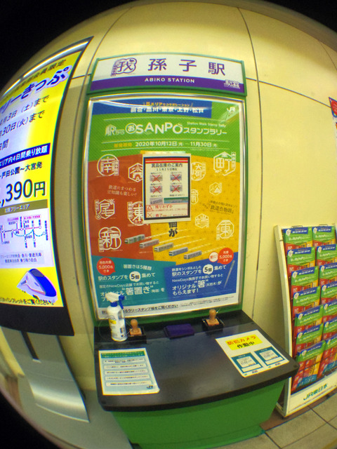 IMGP6506aa