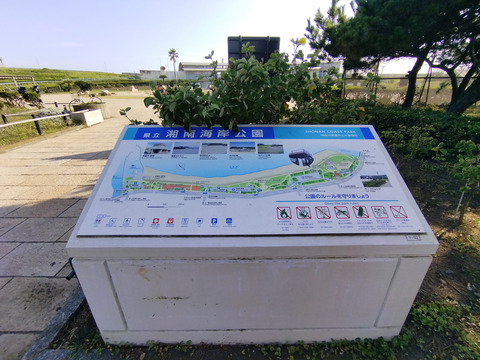 IMG_20250809_160645aa