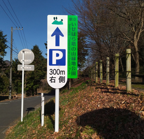 IMG_20250104_131452aa