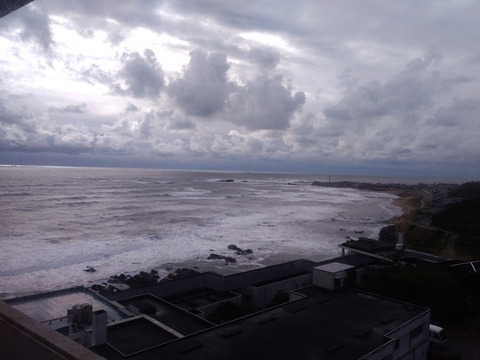 IMG_20201018_080422aa