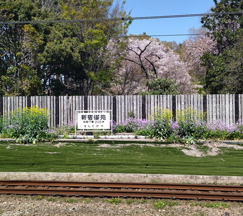 IMG_20250409_123039aa