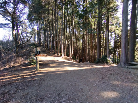 IMG_20240106_113903aa