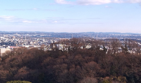 IMG_20250104_133552aa