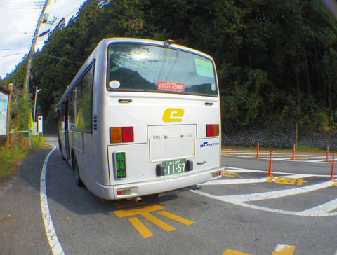 IMGP7182aa