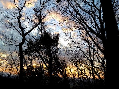 IMG_20210214_171129aa