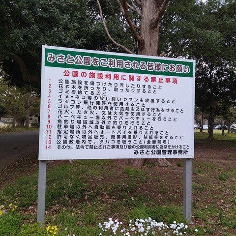 IMG_20240331_164212aa