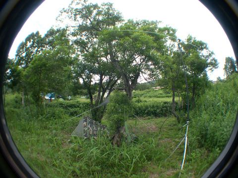 DSCN3238aa