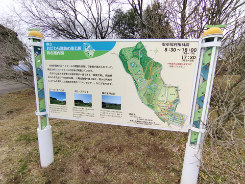 IMG_20250119_120404aa