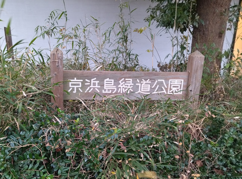 IMG_20250103_161705_1aa