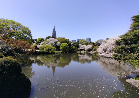 IMG_20250409_124402aa