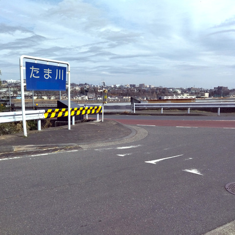 IMG_20240229_123729aa