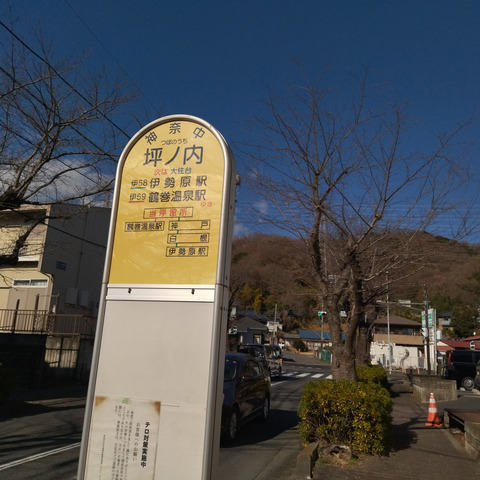 IMG_20250104_125211aa