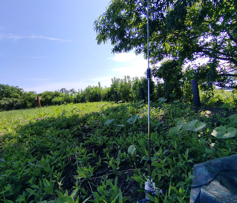 IMG_20250628_150232aajpg