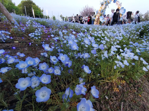 IMG_20250419_180616_1aa