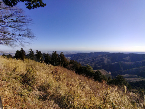 IMG_20240106_120315aa