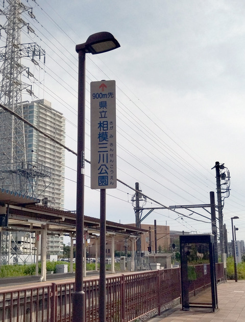 IMG_20240608_153313aa