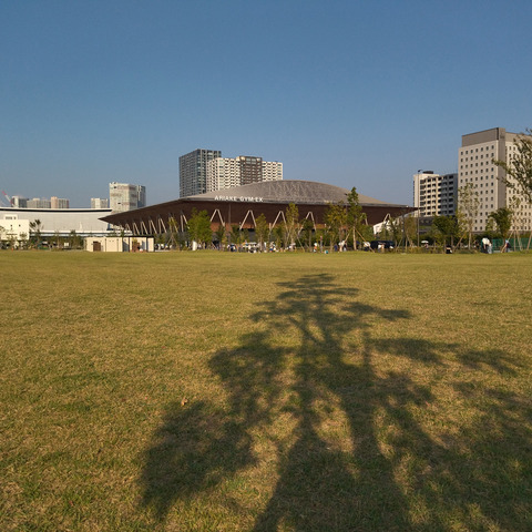 IMG_20250824_162649aa